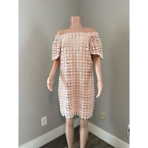 Sandra Darren Yoke Dress Sz MEDIUM Womans Blush Floral Crochet Lace TRIM NWT #52